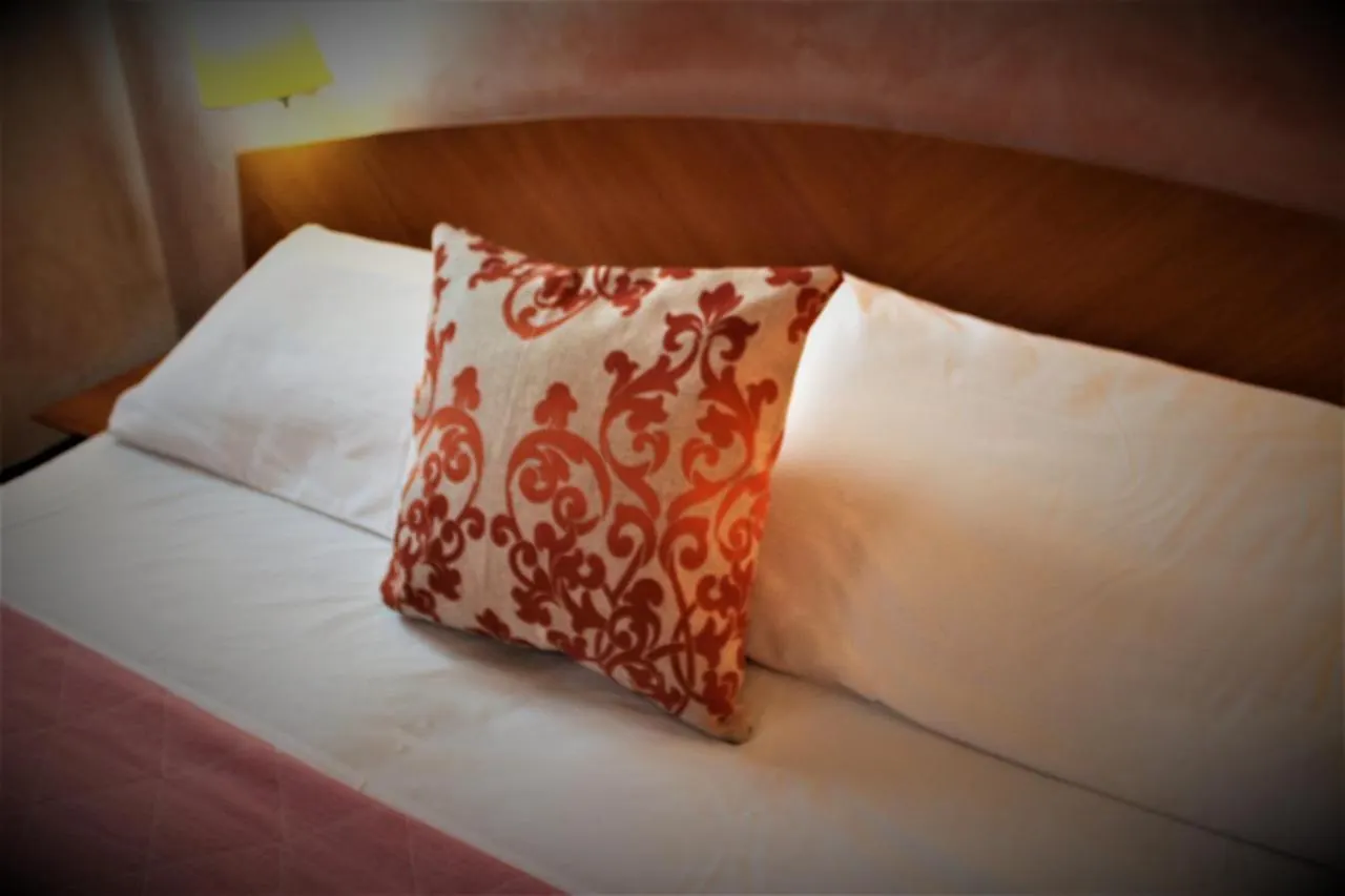Hotel Doge Venice