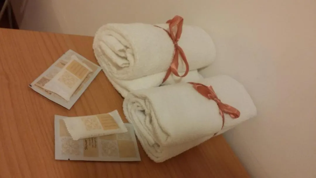 Hotel Doge Venice